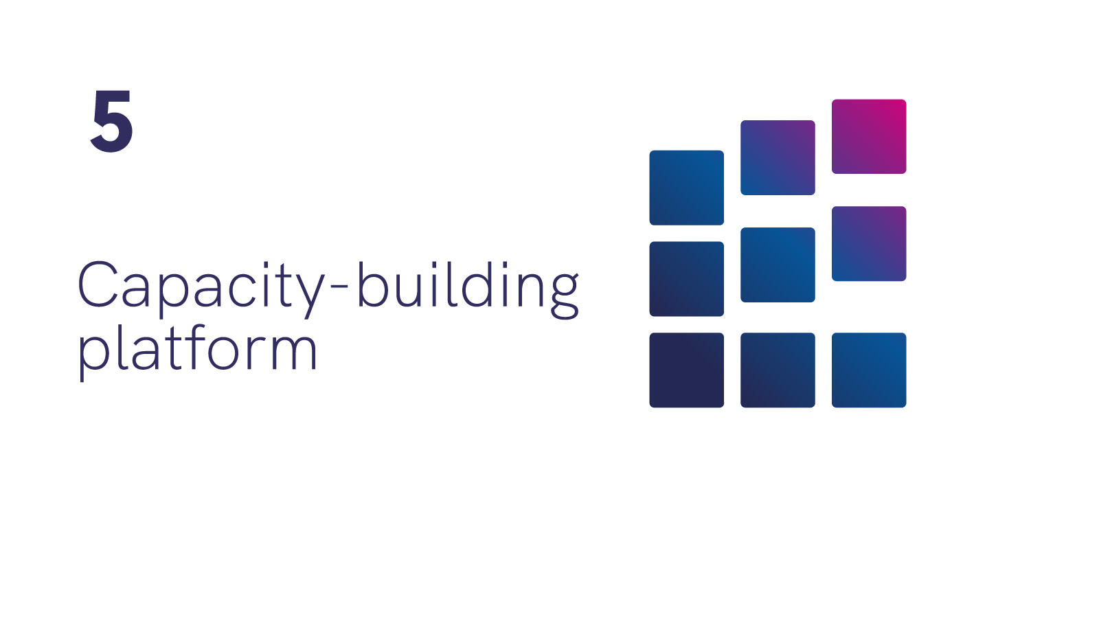 Number 5: Capacity-building platform