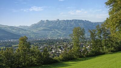 View of Vaduz, a small town in a green valley with mountains in the distance under a clear blue sky.